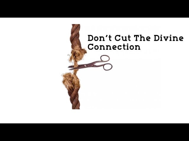 Don’t Cut The Divine Connection (Bitachon #9)