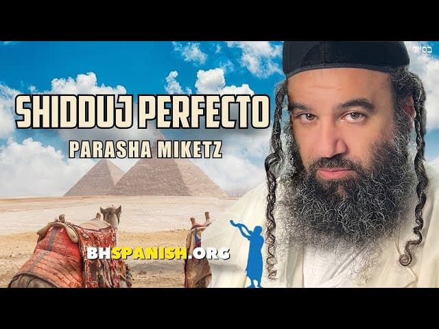 Milagro Shidduch: Parashat Miketz