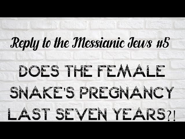 Does The Female Snake's Pregnancy Last 7 Years?! (Reply To The Messianic Jews #5)