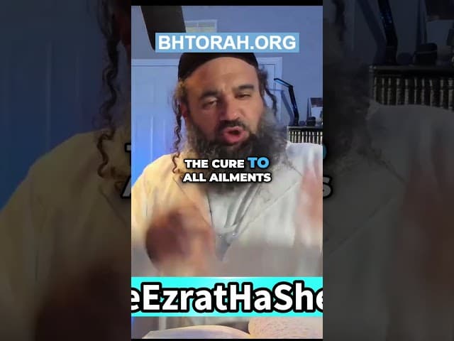 Healing Family Issues Through Torah Wisdom Discover how the teachings of the Torah can resolve