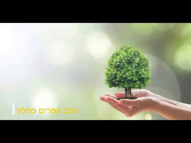 טו בשבט שמח מהרב אפרים כחלון