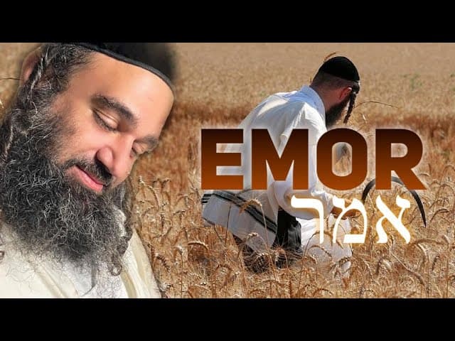 הפינה השבועית | כבוד אמיתי לנשים  | פרשת אמר