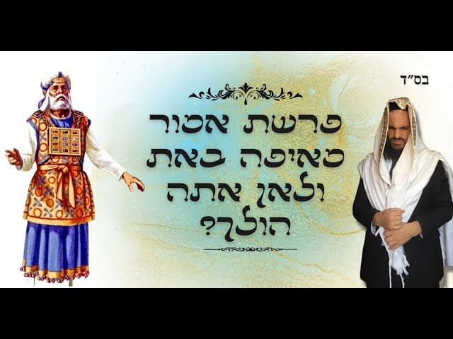 ?פרשת אמור מאיפה באת ולאן אתה הולך