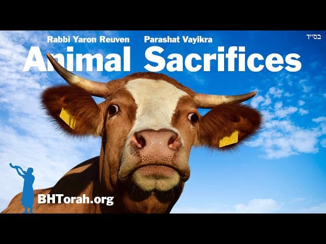Parashat Vayikra - What We Learn From Animal Sacrifices