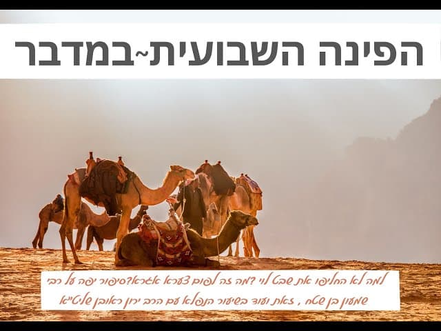 פרשת במדבר .הפינה השבועית