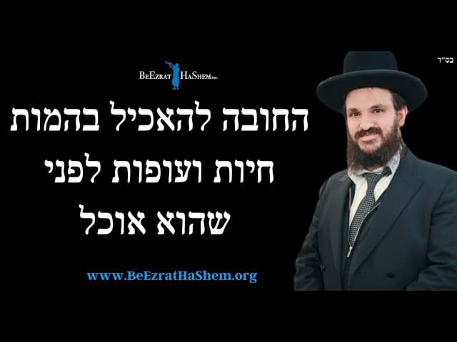 החובה להאכיל בהמות חיות ועופות לפני שהוא אוכל