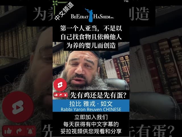 是先有鸡还是先有蛋？🐣 世界的起源 #妥拉 #犹太教 #拉比雅戎如文