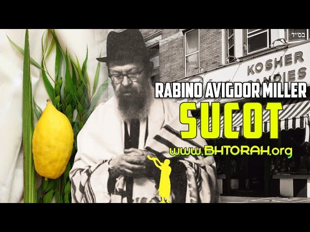 Costume de Sucot do Rabino Avigdor Miller