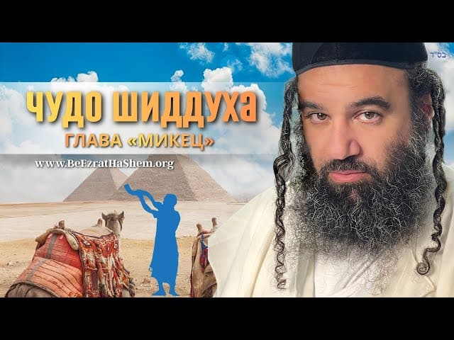 Чудо шиддуха: Парашат Микец