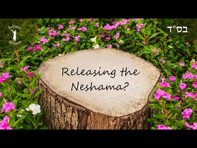 Would Saying the Bracha on a Cut Down Blooming Tree Help the Soul Inside?
