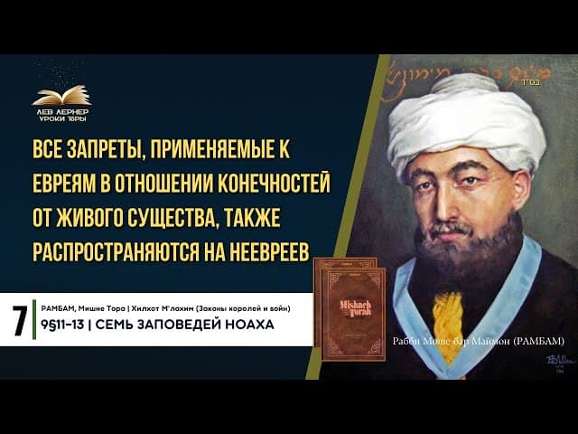𝟕. Запрет употребления органа, отрезанного от живого животного | РАМБАМ 9§11-13