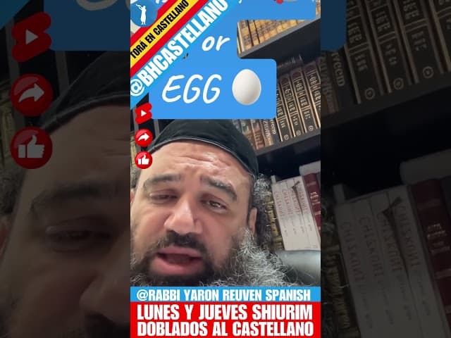 ¿Quién fue primero: el huevo, o la gallina? - Un clip doblado al Castellano