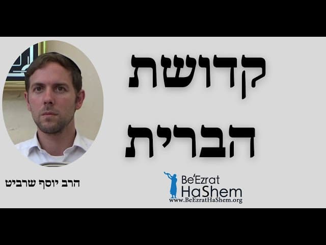 קדושת הברית - הרב יוסף שרביט