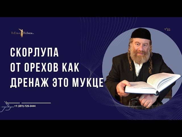 Скорлупа от орехов как дренаж это мукце