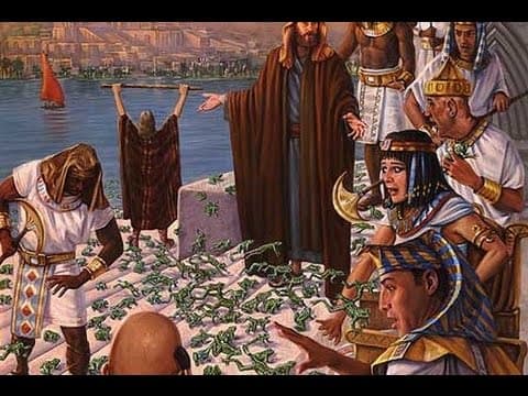 Secrets of The Second Plague Of Egypt