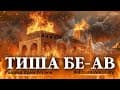 Бейн а-Мецарим: От 17 Таммуза до 9 Ава