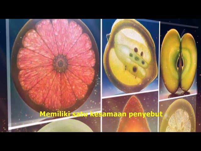 Teshuva: Pohon Kehidupan