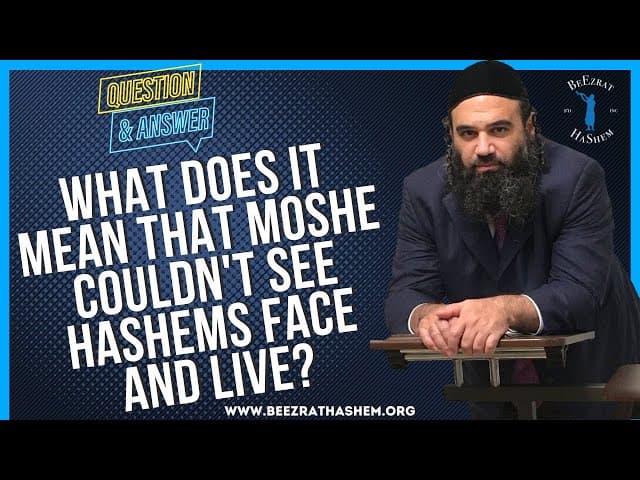 WHAT DOES IT MEAN THAT MOSHE COULDN'T SEE HASHEMS FACE AND LIVE?