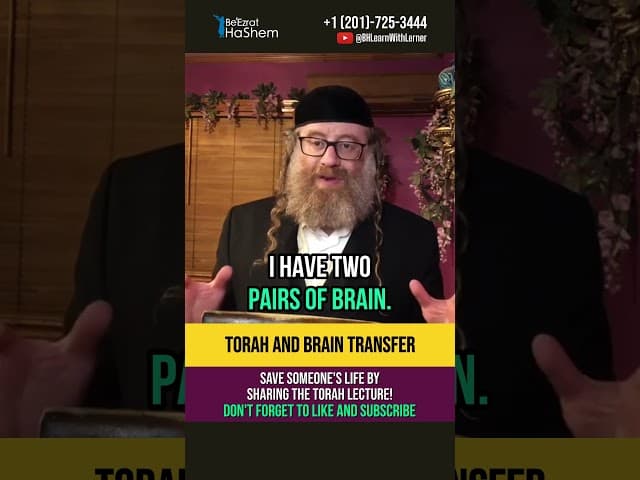 Torah and brain transfer 🧠 Finding positive in everything #shorts #positive