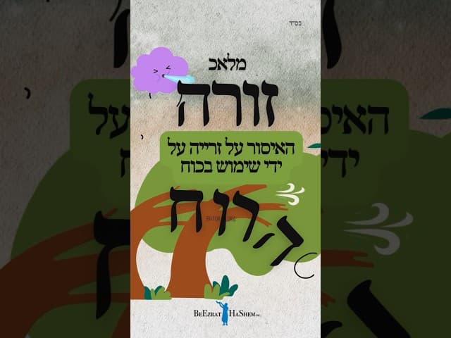 מלאכת זורה