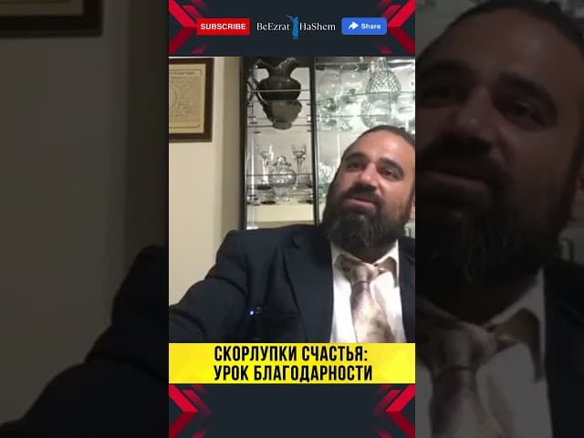 🥜 СКОРЛУПКИ СЧАСТЬЯ. История, которая навсегда научит благодарить! | Раввин Ярон Реувен