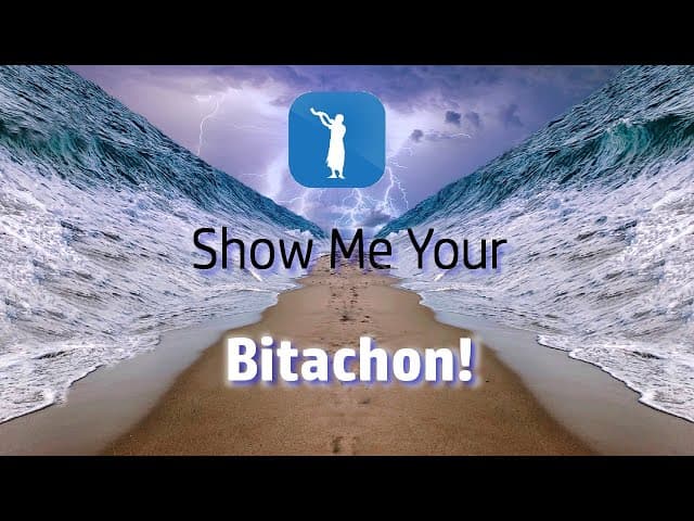 Show Me Your Bitachon!  (Bitachon #17)