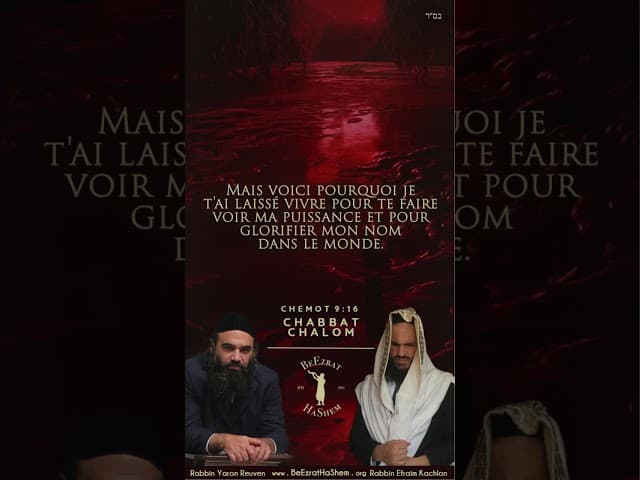 Chabbat Chalom de la part du Rabbin Yaron Reuven, du Rabbin Efraim Kachlon et de l'équipe HaShem.