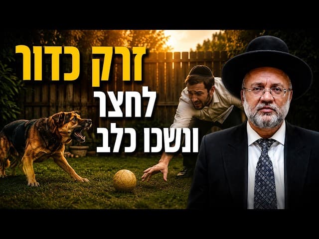 זרק כדור לחצר ונשכו כלב - הרב יוסף חיים מזרחי
