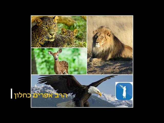 תהיה חיה הרב אפרים כחלון