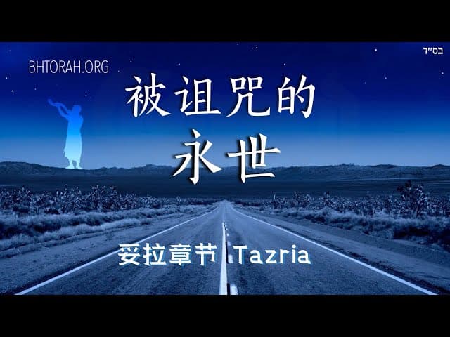 被诅咒的永恒: 扎哈尔塔兹利亚章节