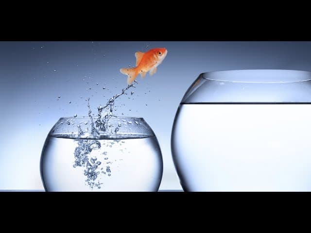 Who Knows Your Full Potential?