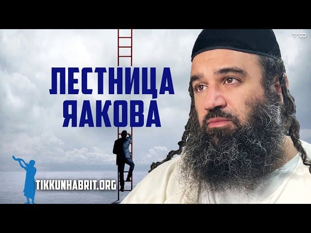 Влияет ли растрата семени на подъем по лестнице?