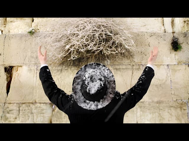 La tua Emunah basta per superare la sofferenza?