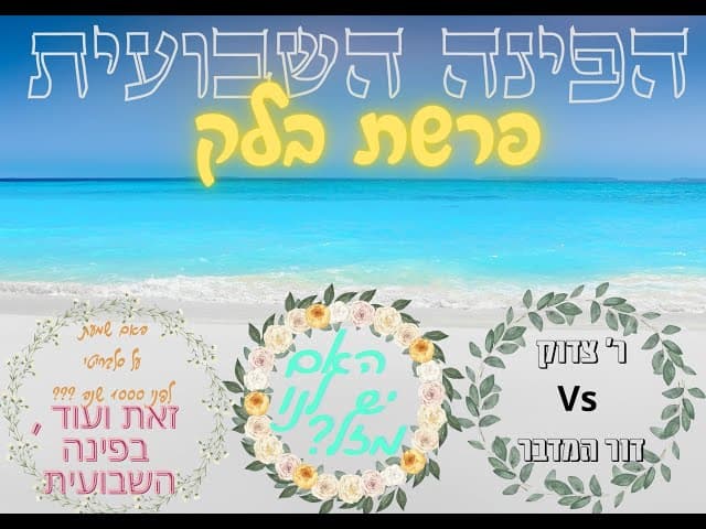 הפינה השבועית : פרשת בלק . אחד על אחד עם  הרב .