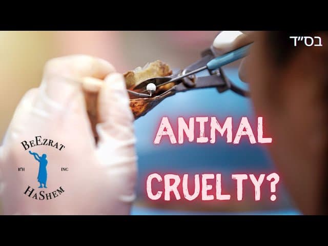 Is Extracting Pearls Animal Cruelty?