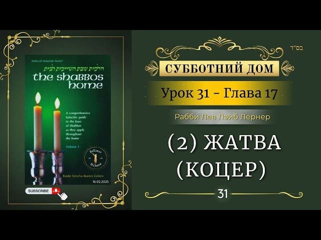 𝟯𝟭. Субботний Дом² | (2) Жатва (коцер) | Глава 17 | Рабби Лев Лэйб Лернер
