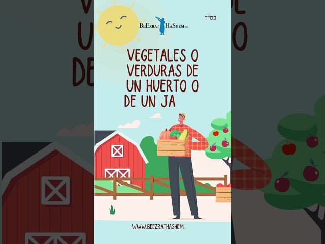 🌱🌷🍊🧅🍄 Kotzair - Melajá