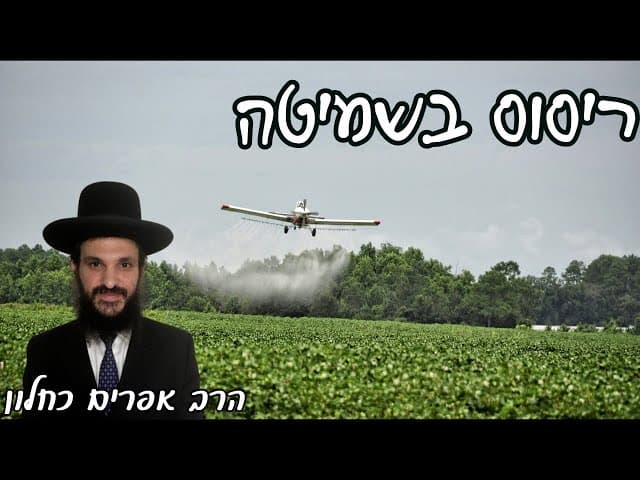 ריסוס בשמיטה | קצרים