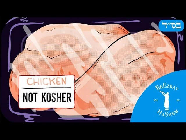 Can Someone Warm Non Kosher Food in Your Kosher Kitchen? Cold Non Kosher on Kosher Dishes?