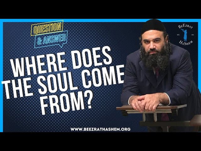   WHERE DOES THE SOUL COME FROM