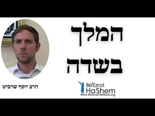הרב יוסף שרביט - המלך בשדה