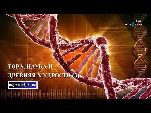 Тора, Наука и Древняя Мудрость (Часть 5) | Русский дубляж | Раввин Ярон Реувен