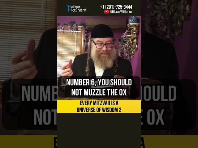 2️⃣ Every mitzvah is the universe of wisdom #Torah #shorts