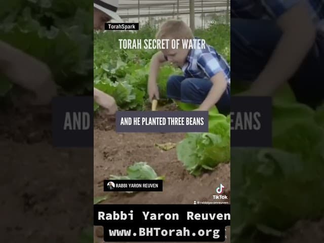 Proyecto de ciencia de la Torá: El secreto del agua - Un clip doblado al Castellano