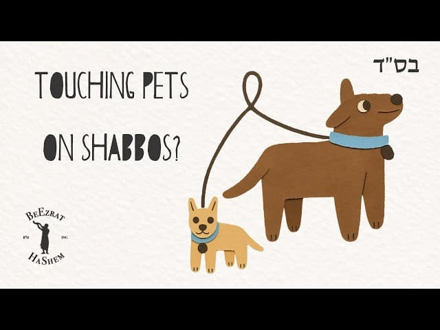 What Are the Halachos of Taking Care of a Pet on Shabbos?