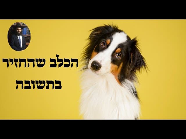 🐶🐶🐶🐶 הכלב שהחזיר בתשובה