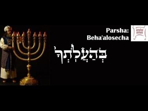 פרשת בהעלותך, מיהו מנהיג אמיתי