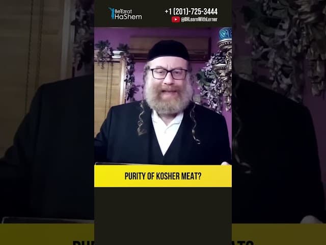Purity of kosher meat? #Torah #shorts