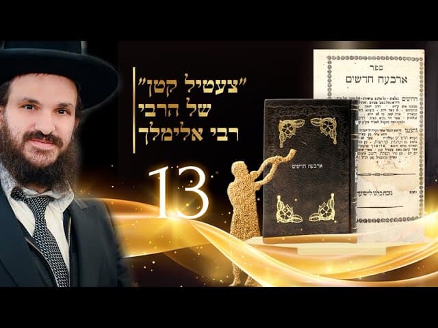 תורת החסידות שיעור 13