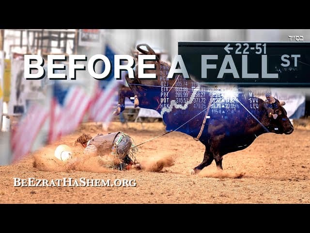 Before A Fall (14 Year Artificial Bull Market)